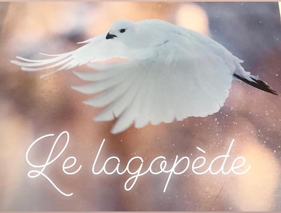 Chalet Le Lagopede La Joue du Loup Exteriér fotografie